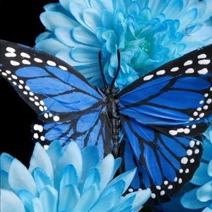 Meet your Posher, Christy